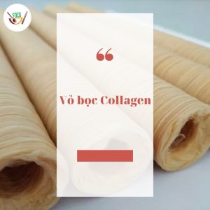 VỎ BỌC COLLAGEN ĐỦ SIZE